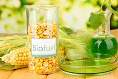 Glastonbury biofuel availability